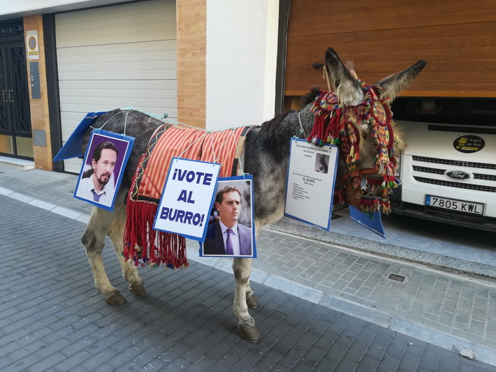 El “Batracio amarillo” hace de las suyas paseando por Motril a un pollino del que colgaba un cartel con la leyenda “vote al burro”.